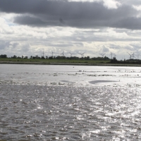 Ausfahrt_Peter_Ording_16