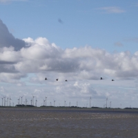 Ausfahrt_Peter_Ording_20