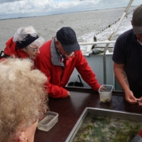 Ausfahrt_Peter_Ording_36