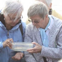 Ausfahrt_Peter_Ording_40